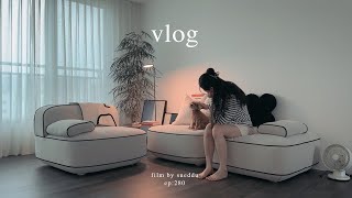 vlog 부지런한 집순이의 하루. 집 꾸미기와 청소