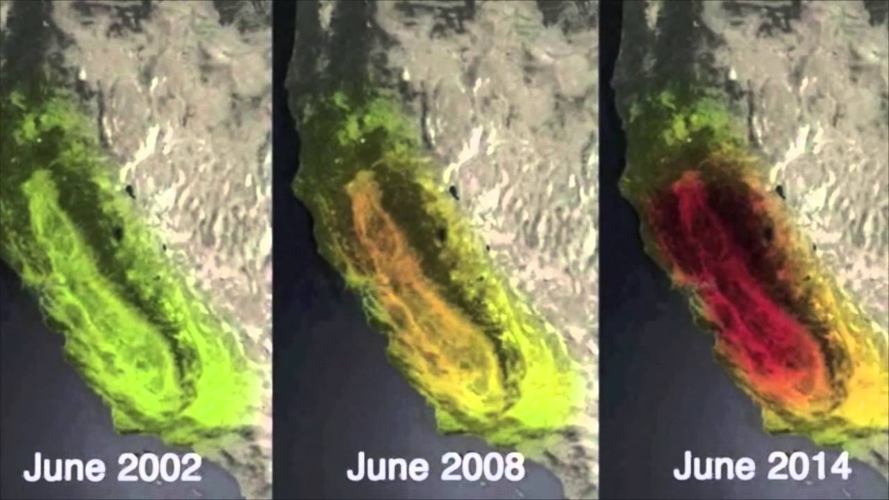 Sustainable Eating - YouTube