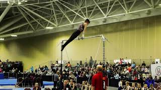 High Bar  ~  USAG Levels 4 - 8  ~  Gymnastics Progression