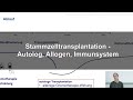 Stammzelltransplantation - Autolog, Allogen, Immunsystem  | Dr. Wagner-Drouet | UCT Mainz