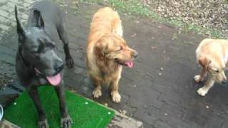 20100428_Vin-Erde-Cavu