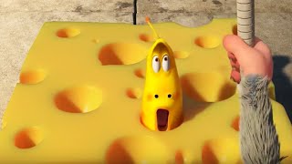 LARVA | KEJU LARVA - LARVA'S CHEESE | Kartun Lucu | LARVA Full Episodes