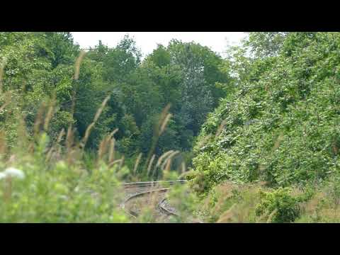 (Emergency Horn) VIA TRAIN 906 Gives a blast of Horn! (Emergency Horn) VIA TRAIN 906 Gives a blast of Horn!