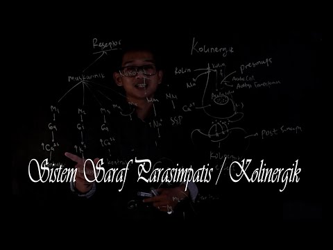 Video: Penggunaan Obat Antikolinergik Dan Benzodiazepine Dan Risiko Insiden Demensia: Sebuah Studi Kohort Di Inggris