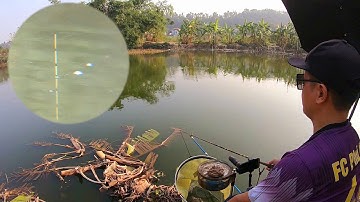 Câu cá diếc sông tại Bắc Ninh - Kinh nghiệm câu cá diếc