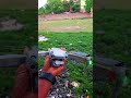 dji mini 4k#djimini2🥰 #automobile #djidrone #drone #funny #djimini3pro #videogames #video #shorts