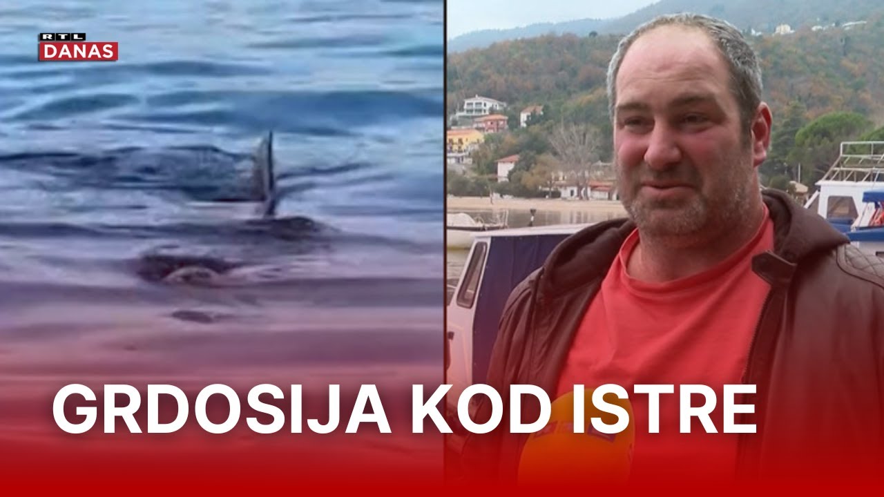 Ribar Nikola snimio nestvaran prizor: 'Usta kao bunker od auta, silueti nije bilo kraja' | RTL Danas