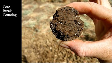 Root phenotyping in wheat | Anton Wasson