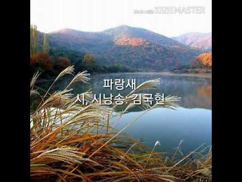 시낭송 파랑새