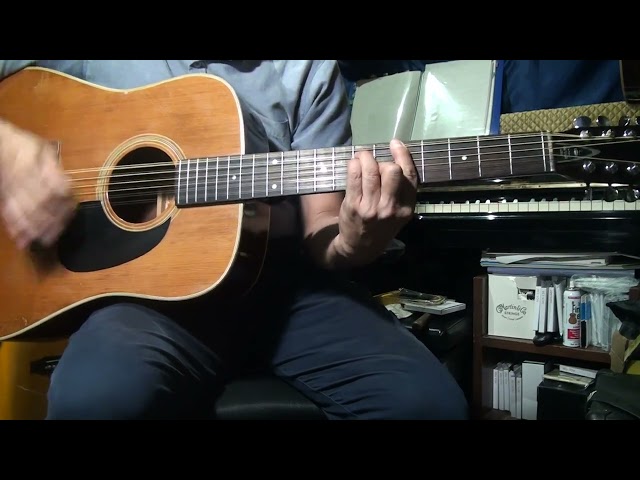 YAMAKI 12弦ギター　Model 220