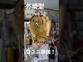 西武ライオンズ外崎選手モデルに完璧に型付けしてみた！