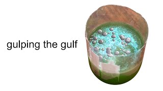 the GULF of AMERCA margarita