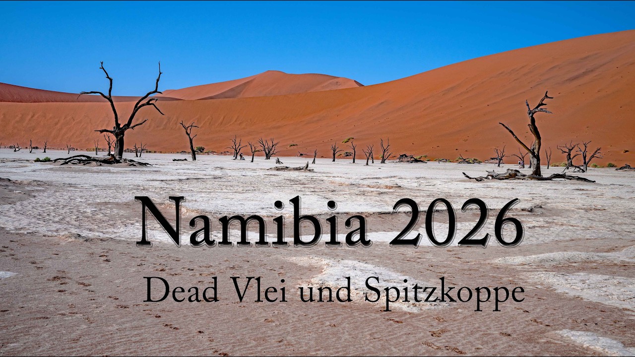 Namibia 2026 - Dead Vlei und Spitzkoppe