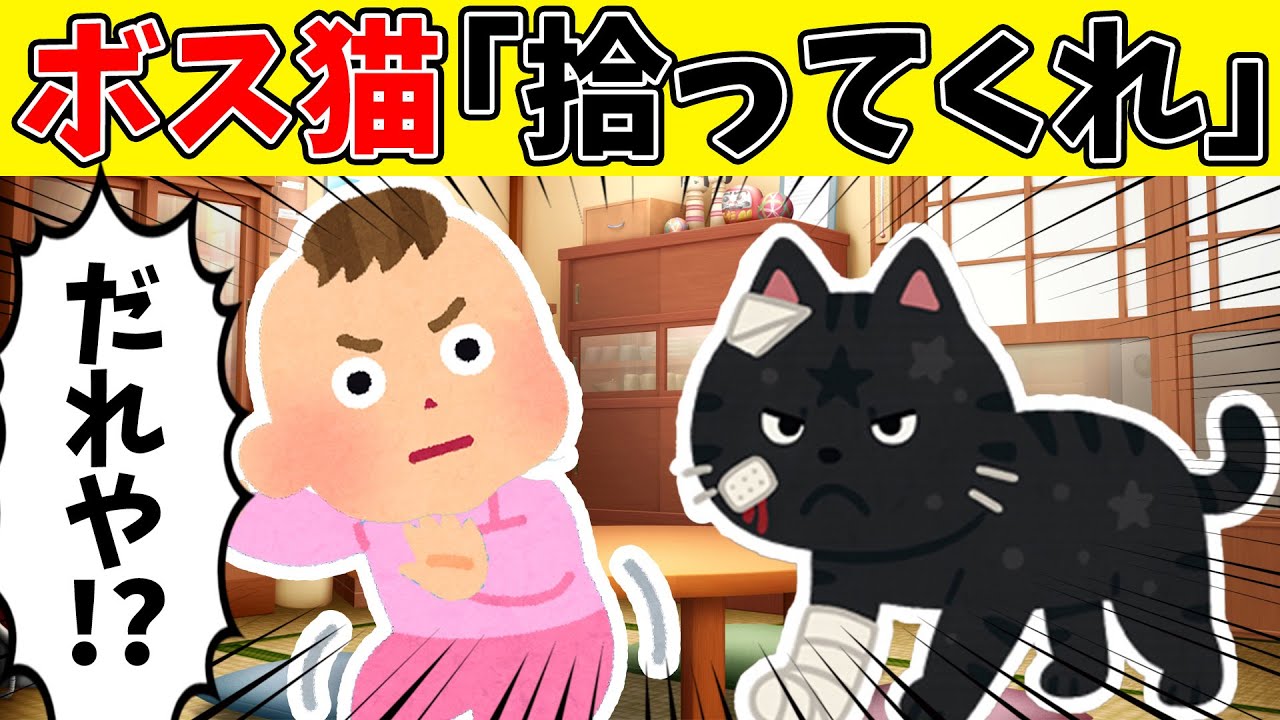 【感動】朝まで聞きたい感動ストーリー10選！！ボス猫が向こうから飼われに来た結果！？【ゆっくり】