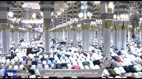 صلاة المغرب الحرم النبوي فضيلة الشيخ د.عبدالباري الثبيتي الجمعة 3 ربيع الأول 1446 هـ سورة آل عمران.