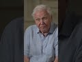 Sir David Attenborough&#39;s fave #PlanetEarth3 scene? 🐒