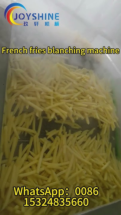 how-to-blanch-french-fries-machine-frenchcuisine-whatsapp-0086