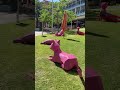 Cutest Cats 🐈/  Spotted in Perth 👀🐱