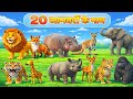 20 जानवरों के नाम | 20 Animal name for Kids | 20 janvaron ke naam | Wild Animal name 