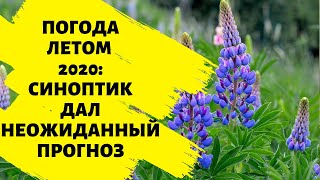 Погода летом 2020: Синоптик дал неожиданный прогноз