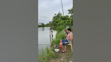 Báo Cá Sấp Đôi #cuoccauca #fishing #thinhhanh