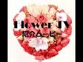 フラワーアレンジメント・ウェディングブーケなどの制作方法やお花紹介など、お花で分からない事や知りたいことが全てわかります/Flower TV