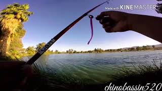 Just Another Day Fishing At Silverbell Lake Tucson Arizona