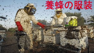 【初心者向け】養蜂の服装について【自分に合った服装】