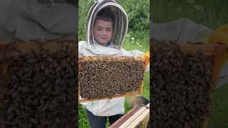 IMG 5414