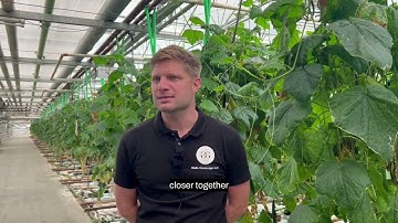 Exploring automation in horticulture: What horticulture producers say