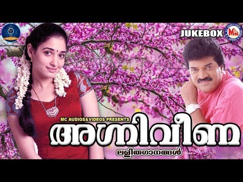 അഗ്നിവീണ | കേൾക്കാൻ കൊതിച്ച ലളിതഗാനങ്ങൾ | Light Music Songs Malayalam