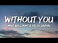 Mike Williams Felix Jaehn Without You Lyrics Ft Jordan Shaw mp3