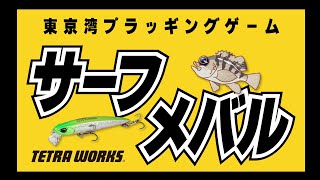 東京湾メバルプラッギング　サーフ編
