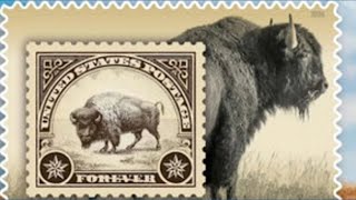 USPS pays tribute to America's national mammal with new Forever stamp