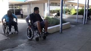 Disability Awareness Week