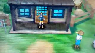 How to check the Hidden Power of your Pokemon in Pokemon Sun and Moon screenshot 5