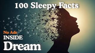 What Dreaming Actually Is | Relaxing Facts Fall Asleep To Science