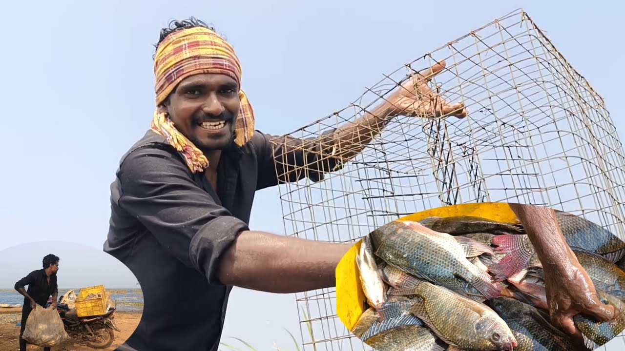 🎣🦩మా ఊరి పెద్ద చెరువులో చేపల వేట చేయటం చాలా కష్టం..| Village Natural Fishing video |