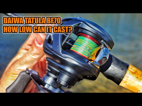 Daiwa Tatula BF70 BFS Casting Reel – Hammonds Fishing
