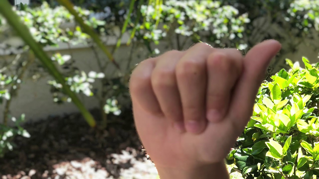 Learn to Sign Florida Alphabet ASL YouTube