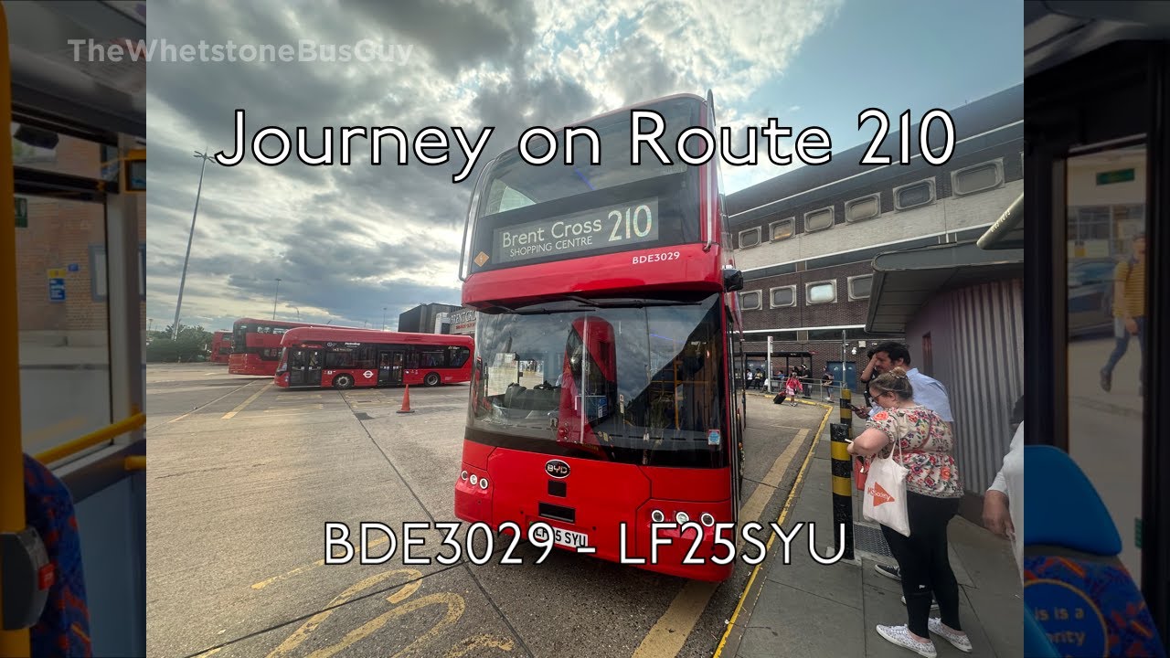 *Brand New* - Journey on Route 210 - BYD BD11 - BDE3029 (LF25SYU) [intended as LF74UCL]