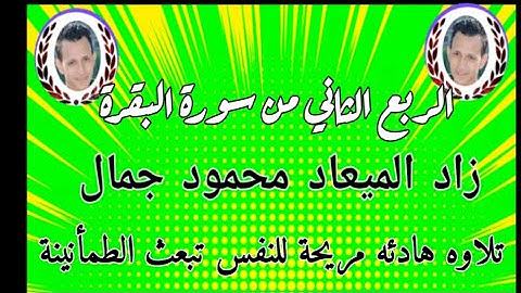 ربع,ان الله لايستحي ان يضرب مثلا ما بعوضه,سوره البقره,زاد الميعاد