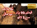 Cattle Prices - Sohrab Goth Maweshi Mandi