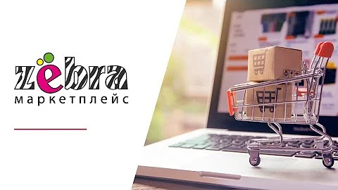 Что такое Зёбра?