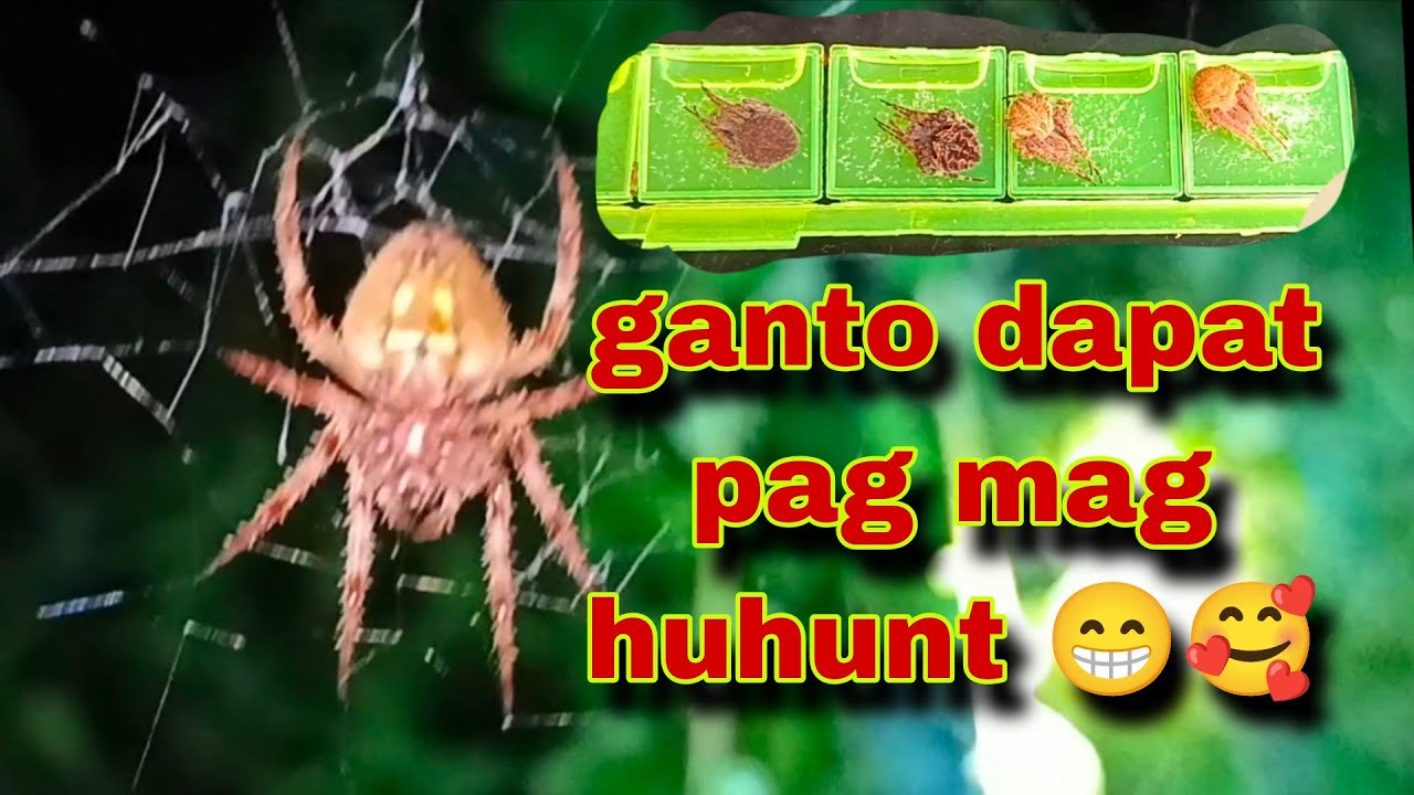 Ganto ang pag huhunt ng mga quality G 😁