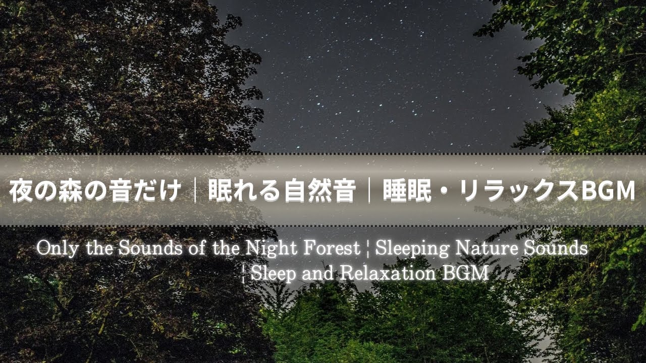 夜の森の音だけ｜眠れる自然音｜睡眠・リラックスBGM ／Only the sounds of the forest at night | Nature sounds to help you sleep