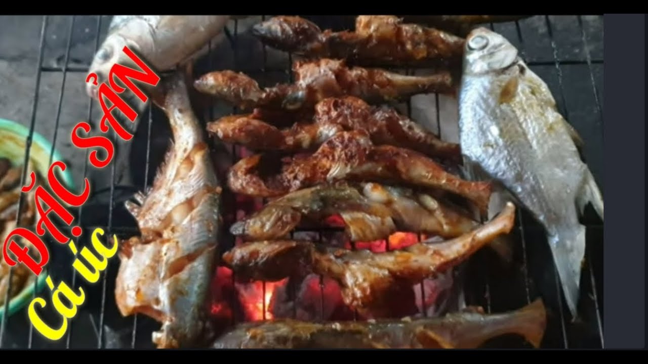 Ẩm thực|Đặc sản sông tiền cá úc nướng sả tế thơm ngon. - youtube