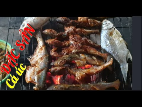 Video Ẩm thực|Đặc sản sông tiền cá úc nướng sả tế thơm ngon. - youtube