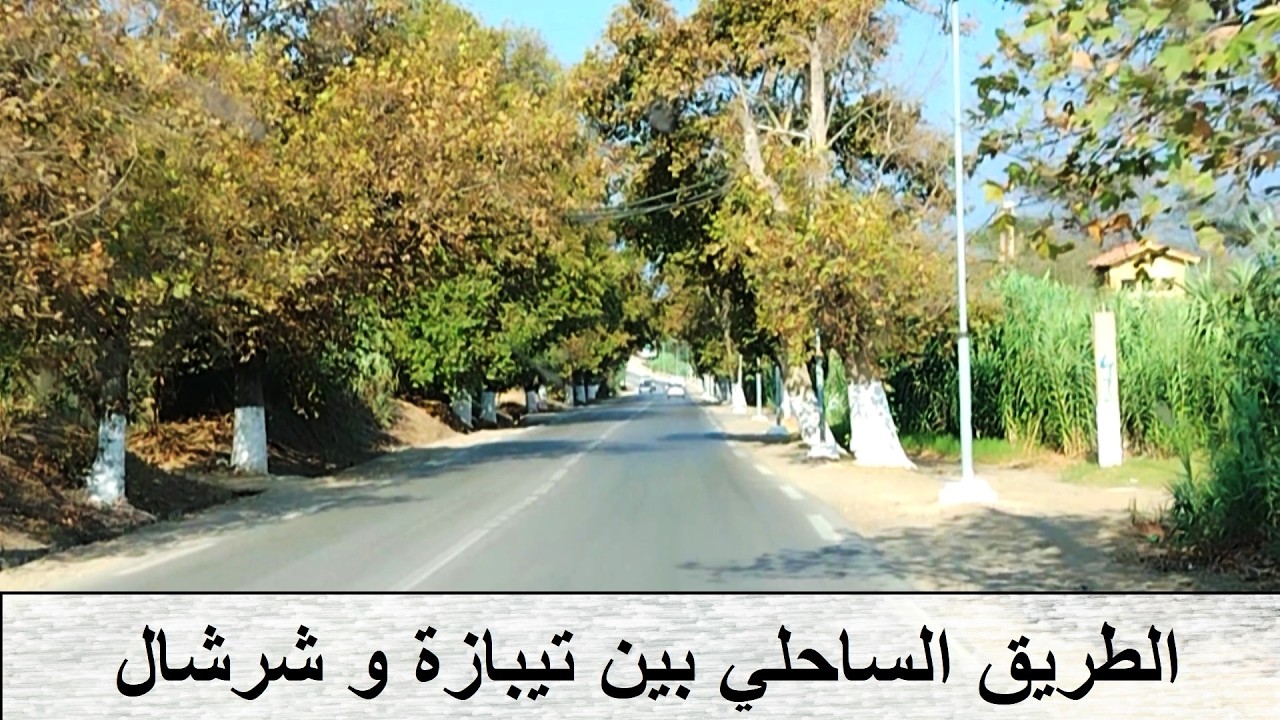 Coastal road between Tipaza and Cherchell  --  الطريق الساحلي بين تيبازة و شرشال