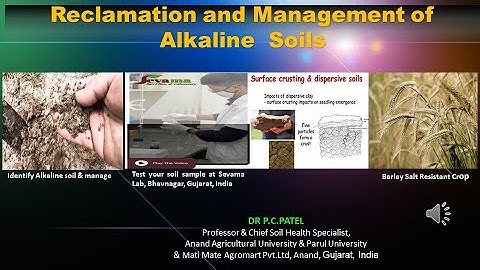 RECLAMATION AND MANAGEMENT OF ALKALINE SOILS BY DR.P.C.PATEL